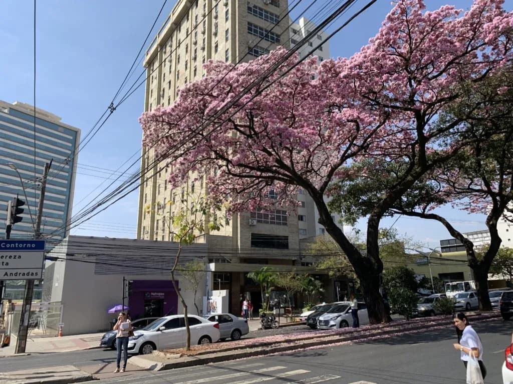 Unidade Santa Efigênia